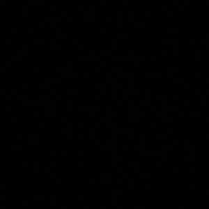 Meet your Posher, Laken